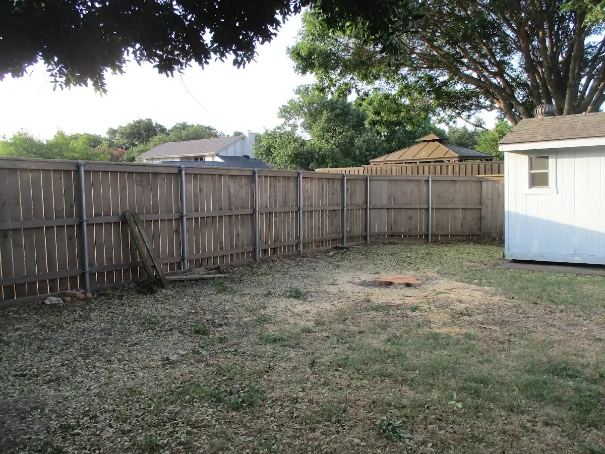 Cleared yard after professional tree removal in East Grand Forks