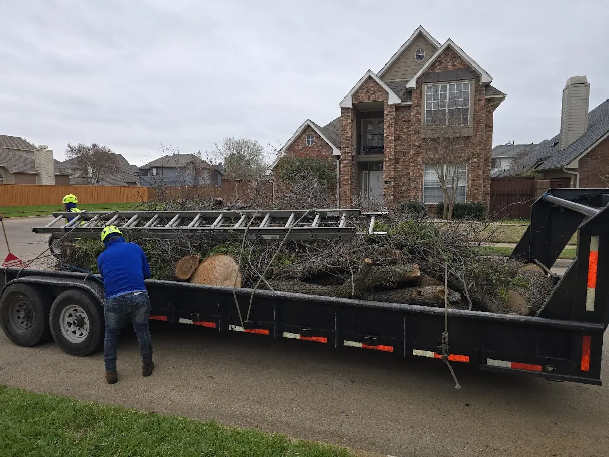 Expert Lot Clearing with proper safety equipment in East Grand Forks